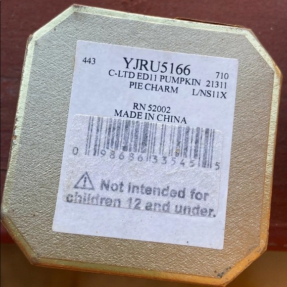 Juicy Couture LE 2011 PUMPKIN PIE HOLIDAY CHARM - Picture 7 of 8